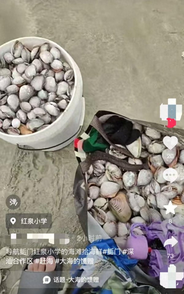 明珠国际 “捡不完根本捡不完”，人手一个桶，提醒：尽量不要吃