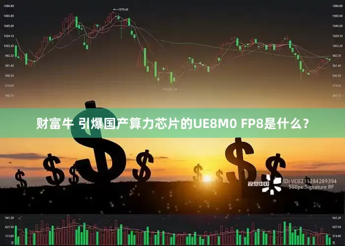 财富牛 引爆国产算力芯片的UE8M0 FP8是什么？